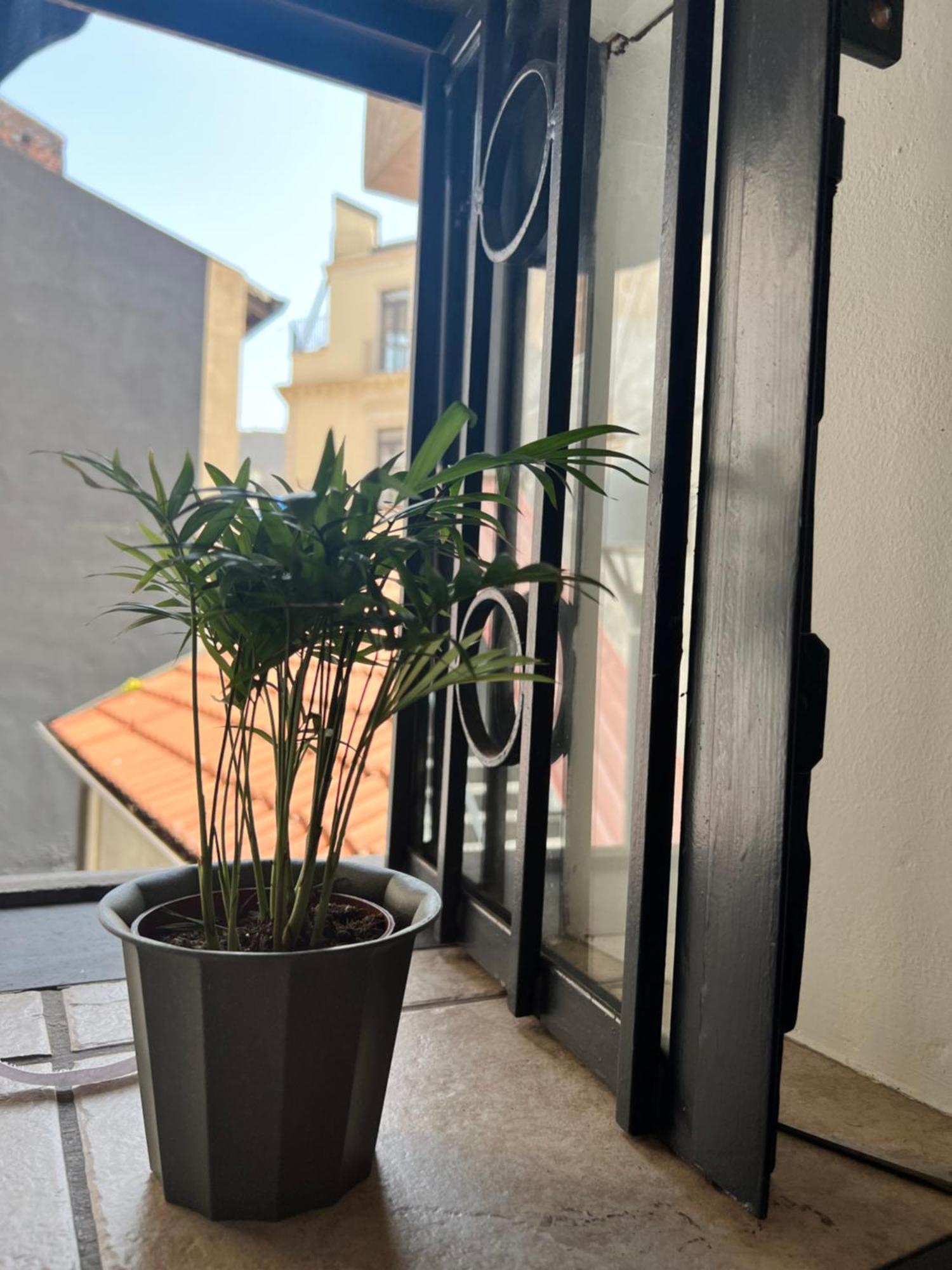 Barcaioli'S Home Catania Luaran gambar